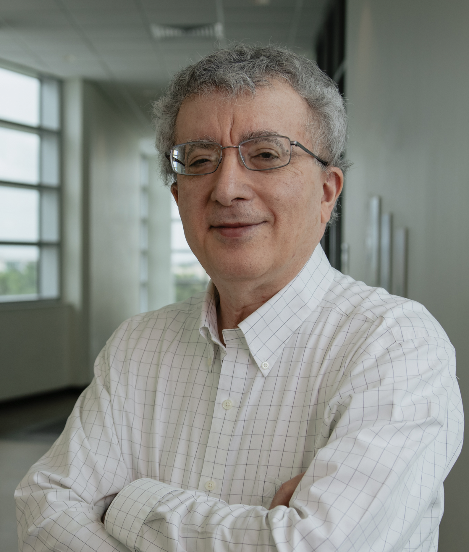 Taghi M. Khoshgoftaar